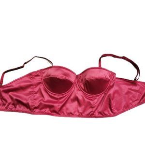 hot pink vintage bra / bustier